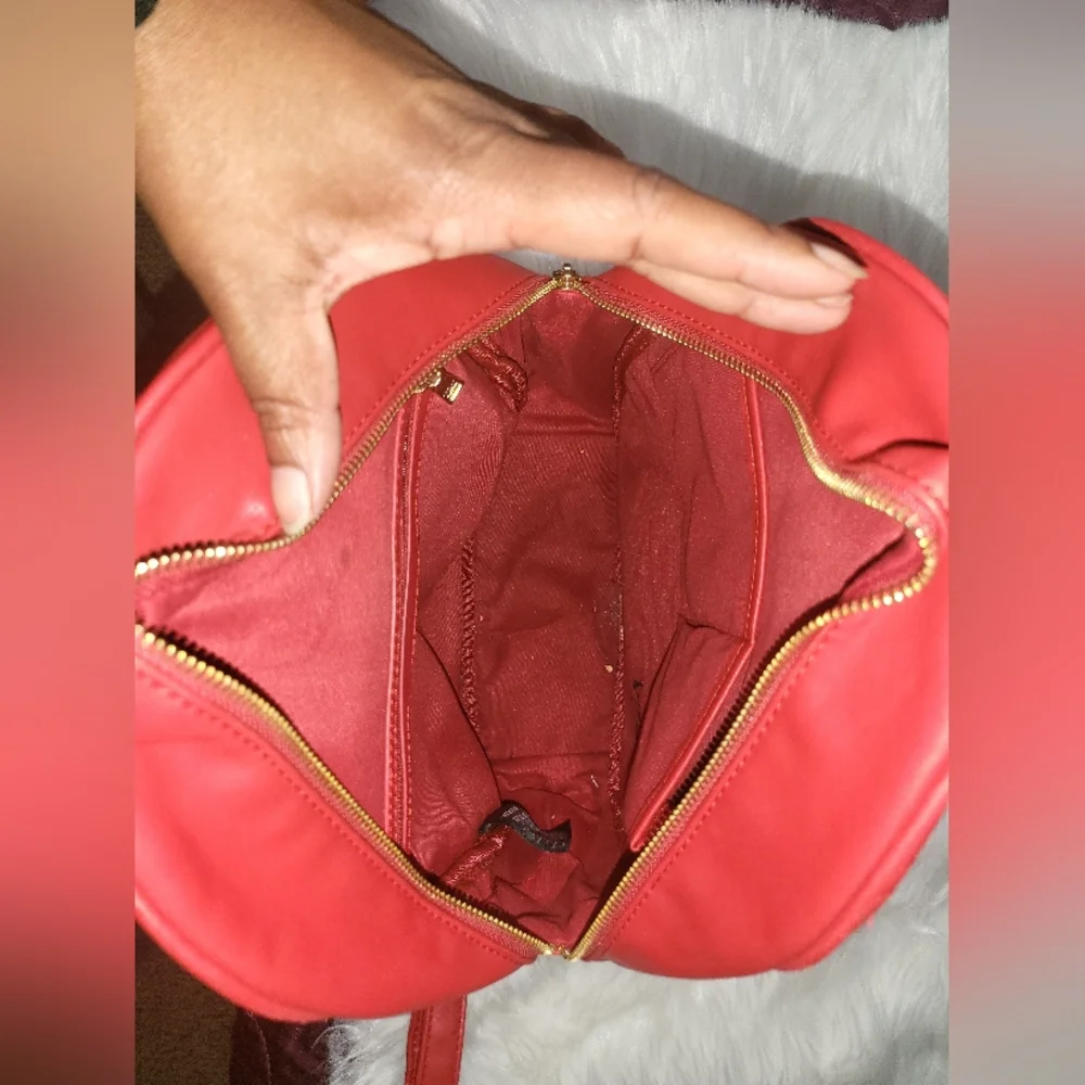 Badgley Mischka Backpack